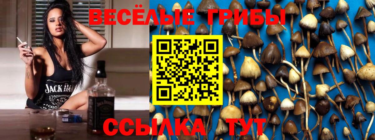 Галлюциногенные грибы MAGIC MUSHROOMS Партизанск