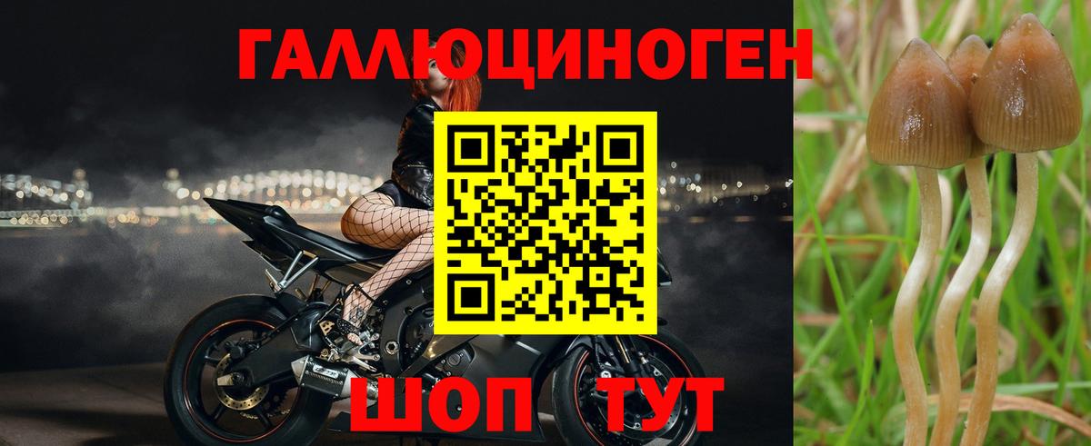 Партизанск  Галлюциногенные грибы мухоморы  Вход с VPN 